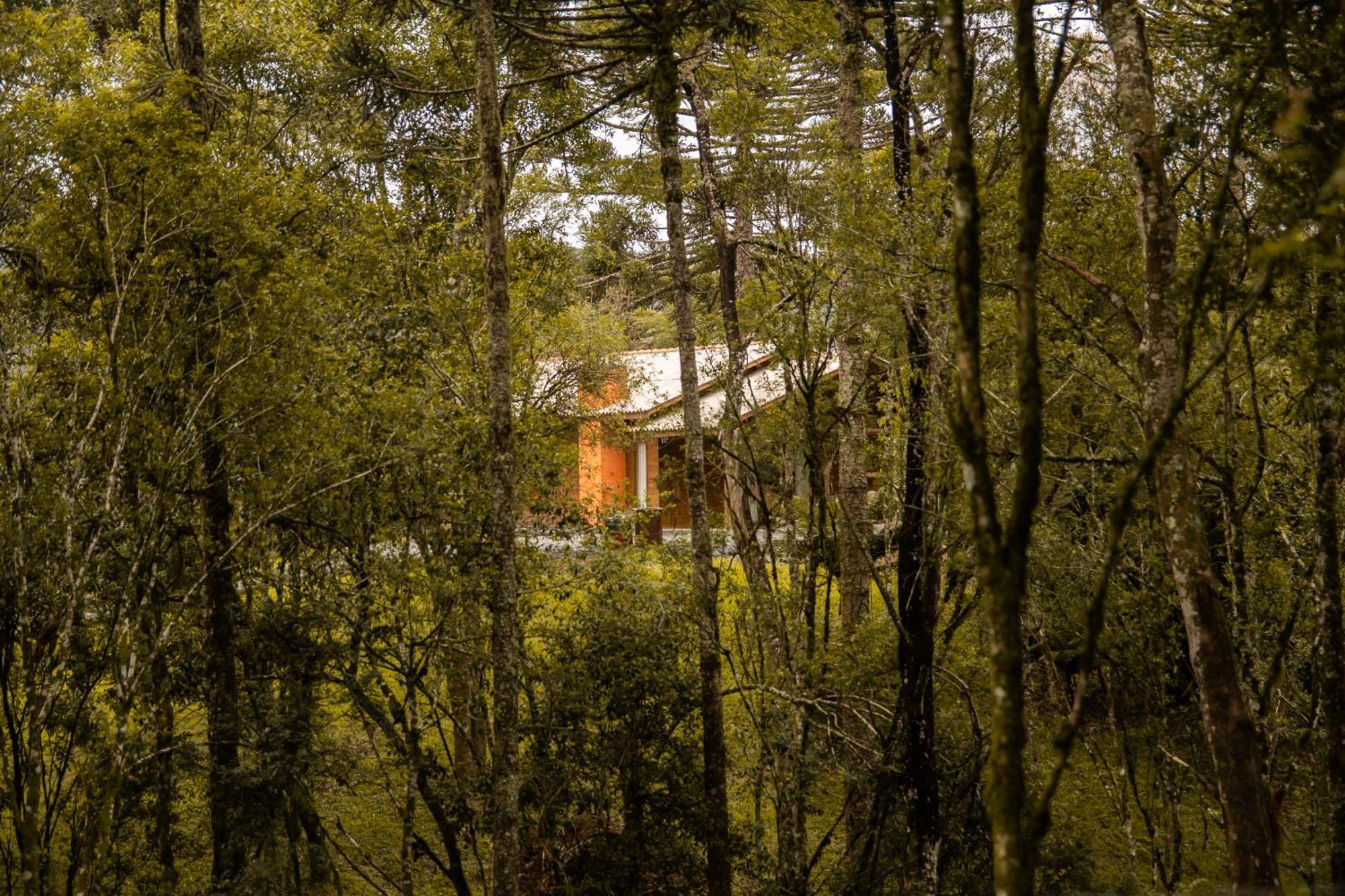 Cabana Com Hidromassagem Bom Retiro  Exteriér fotografie