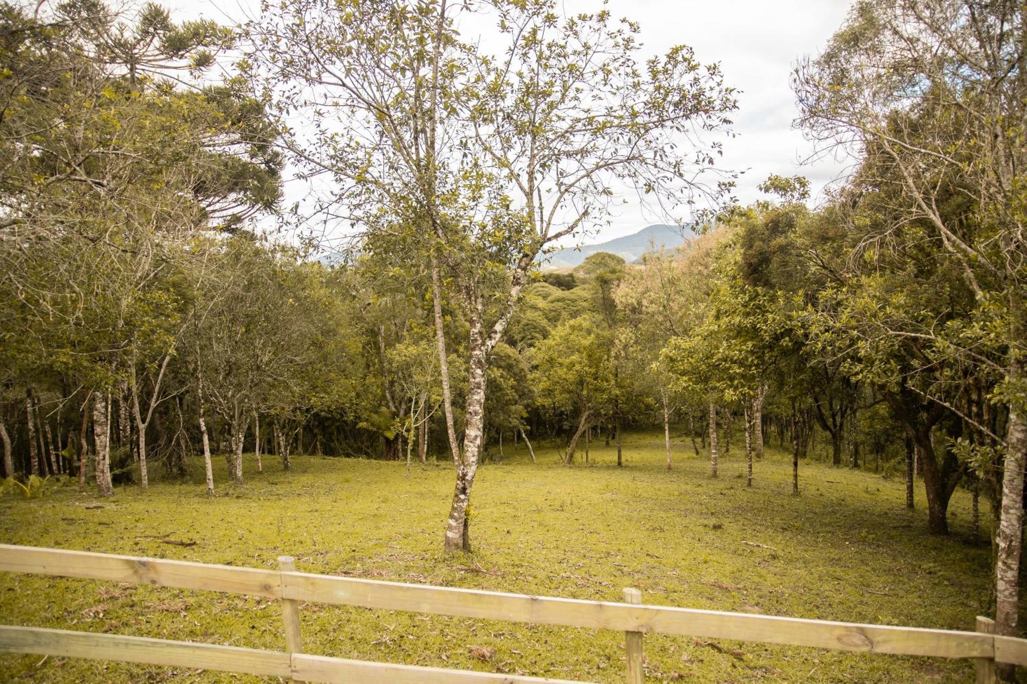 Cabana Com Hidromassagem Bom Retiro  Exteriér fotografie
